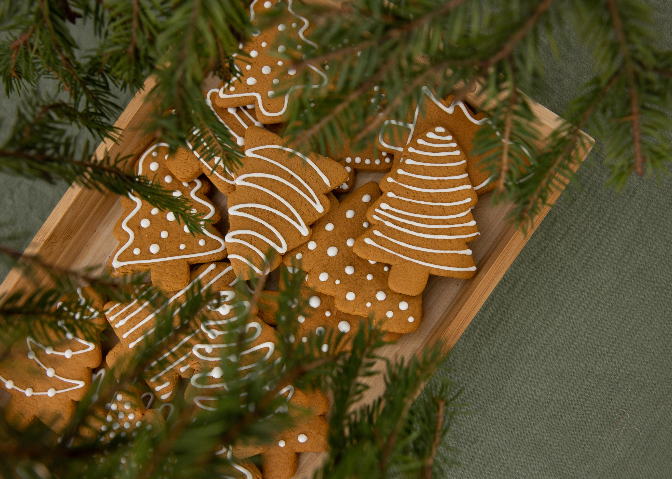 Top view of holiday cookies and pine tree decorations